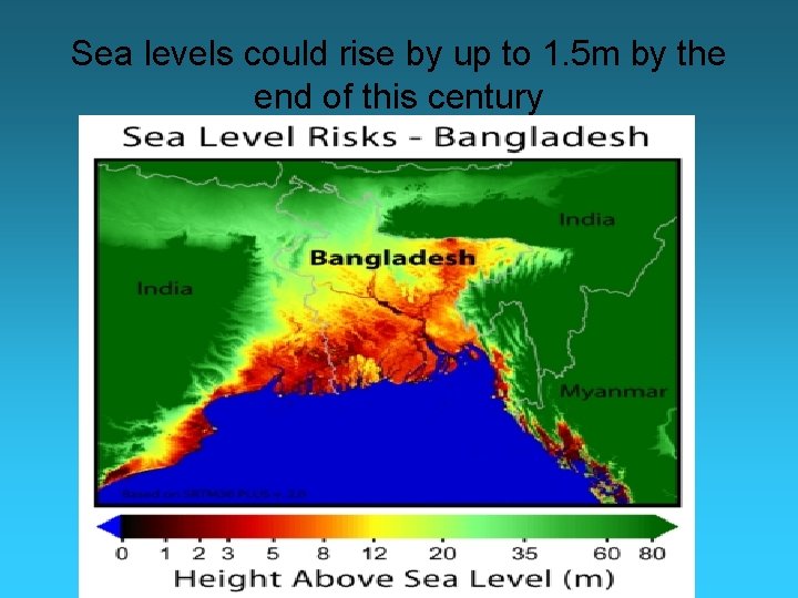 Sea levels could rise by up to 1. 5 m by the end of