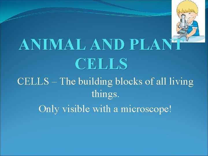 ANIMAL AND PLANT CELLS – The building blocks of all living things. Only visible