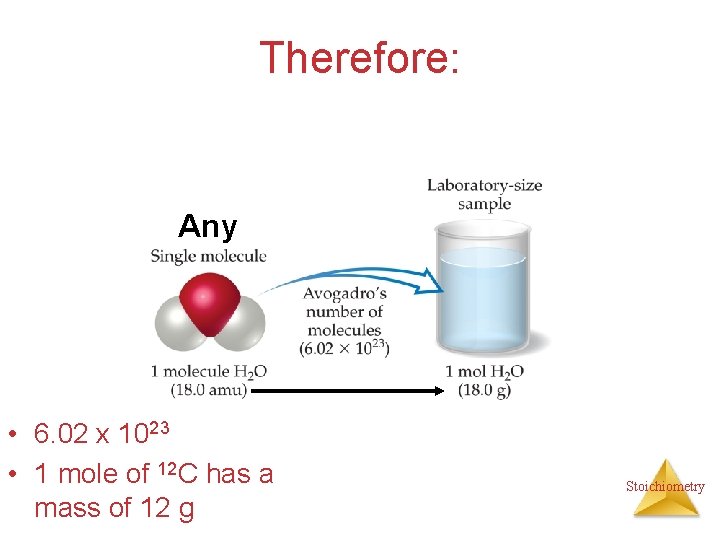 Therefore: Any • 6. 02 x 1023 • 1 mole of 12 C has