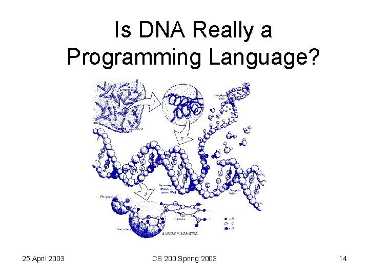 Is DNA Really a Programming Language? 25 April 2003 CS 200 Spring 2003 14
