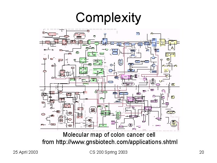 Complexity Molecular map of colon cancer cell from http: //www. gnsbiotech. com/applications. shtml 25
