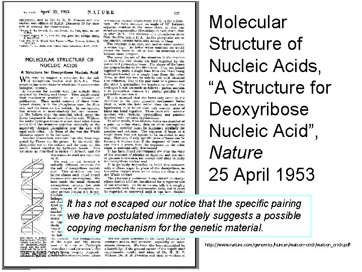 Molecular Structure of Nucleic Acids, “A Structure for Deoxyribose Nucleic Acid”, Nature 25 April