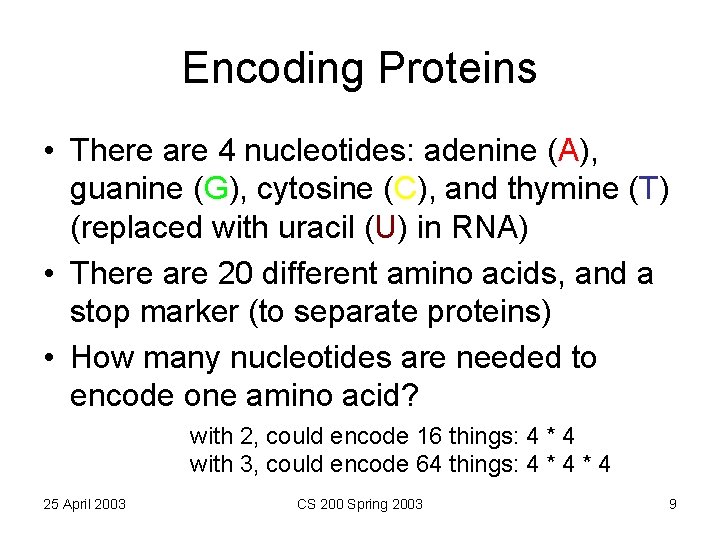 Encoding Proteins • There are 4 nucleotides: adenine (A), guanine (G), cytosine (C), and