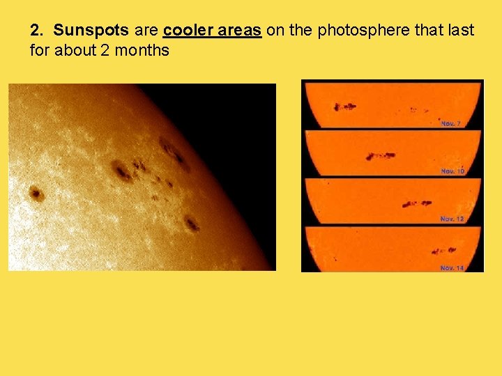 2. Sunspots are cooler areas on the photosphere that last for about 2 months