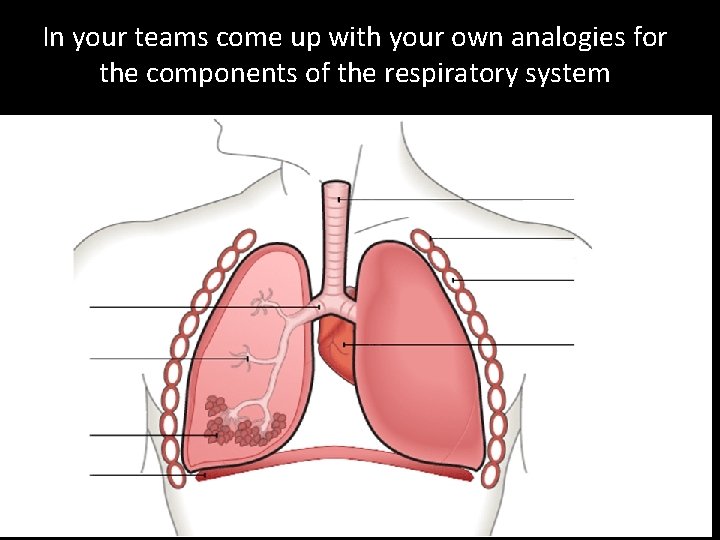 In your teams come up with your own analogies for the components of the In your teams come up with your own analogies for the components of the