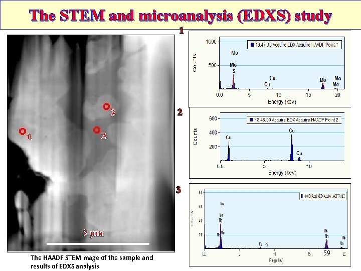 The STEM and microanalysis (EDXS) study 1 3 1 2 2 3 3 µm