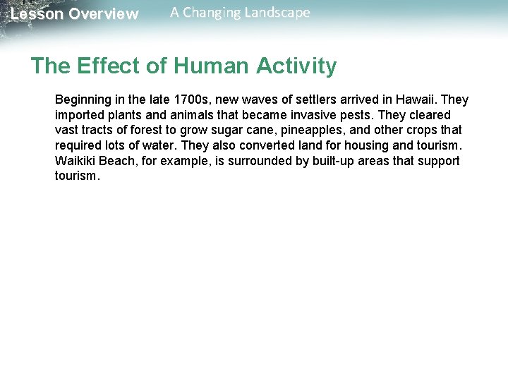 Lesson Overview A Changing Landscape The Effect of Human Activity Beginning in the late