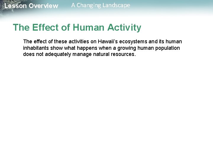 Lesson Overview A Changing Landscape The Effect of Human Activity The effect of these