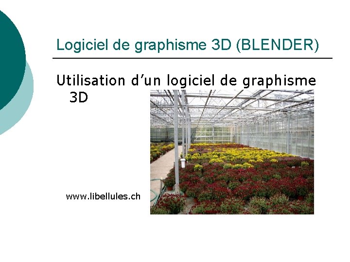 Logiciel de graphisme 3 D (BLENDER) Utilisation d’un logiciel de graphisme 3 D www.