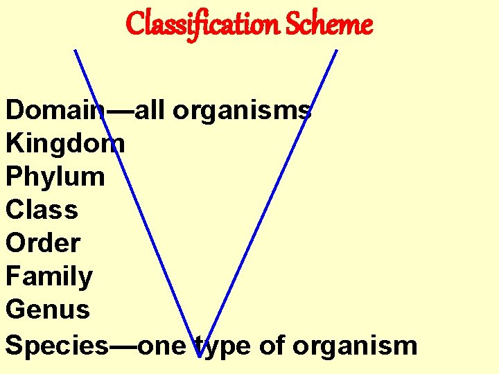 Classification Scheme Domain—all organisms Kingdom Phylum Class Order Family Genus Species—one type of organism