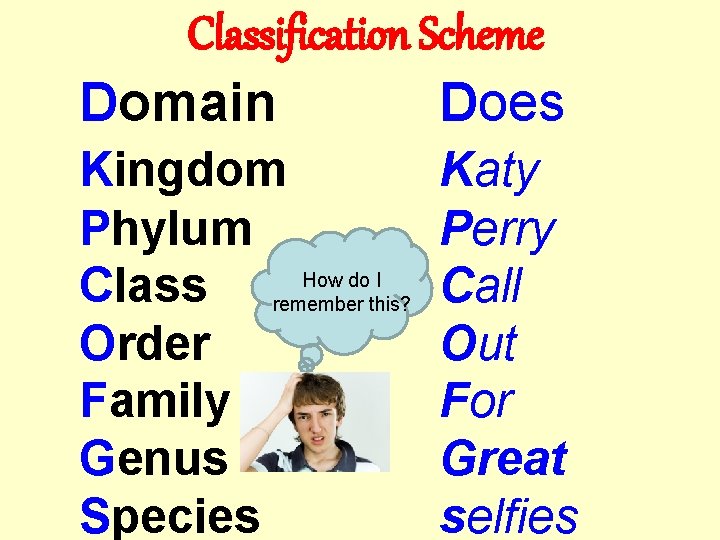 Classification Scheme Domain Does Kingdom Phylum How do I Class remember this? Order Family