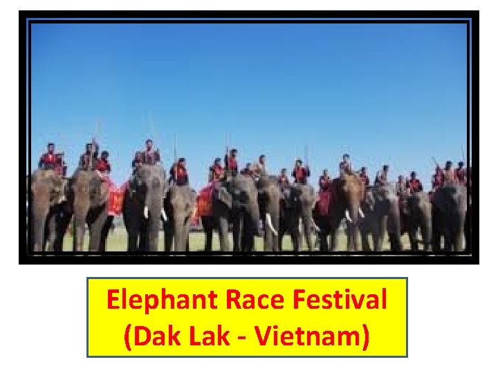 Elephant Race Festival (Dak Lak - Vietnam) 