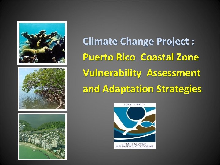 Climate Change Project : Puerto Rico Coastal Zone Vulnerability Assessment and Adaptation Strategies 