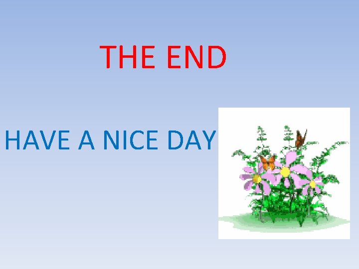THE END HAVE A NICE DAY 