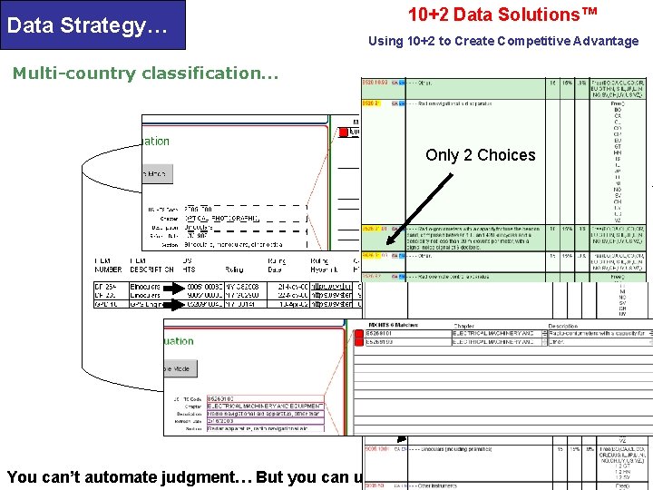 10+2 Data Solutions™ Data Strategy… Using 10+2 to Create Competitive Advantage Multi-country classification… Only