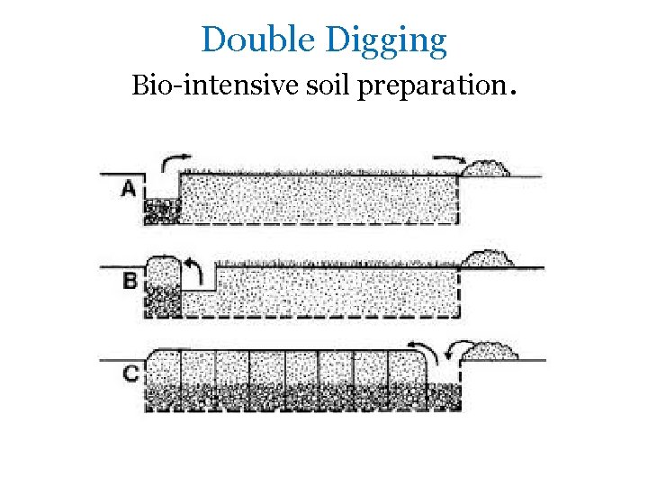 Double Digging Bio-intensive soil preparation. 