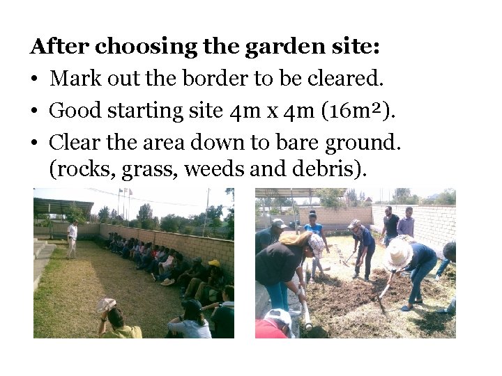 After choosing the garden site: • Mark out the border to be cleared. •