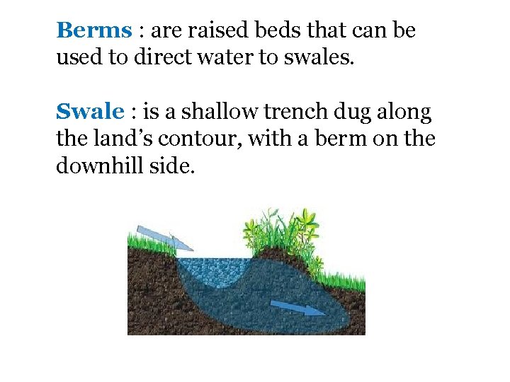 Berms : are raised beds that can be used to direct water to swales.