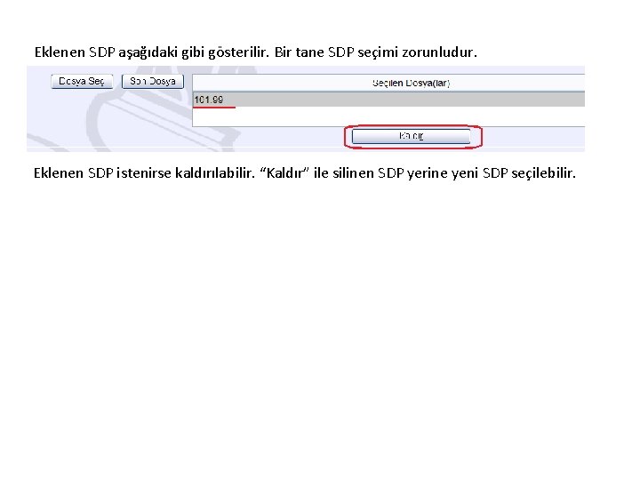 Eklenen SDP aşağıdaki gibi gösterilir. Bir tane SDP seçimi zorunludur. Eklenen SDP istenirse kaldırılabilir.