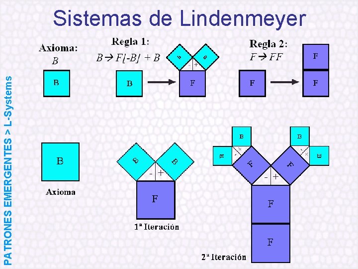 PATRONES EMERGENTES > L-Systems Sistemas de Lindenmeyer 