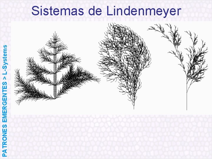 PATRONES EMERGENTES > L-Systems Sistemas de Lindenmeyer 