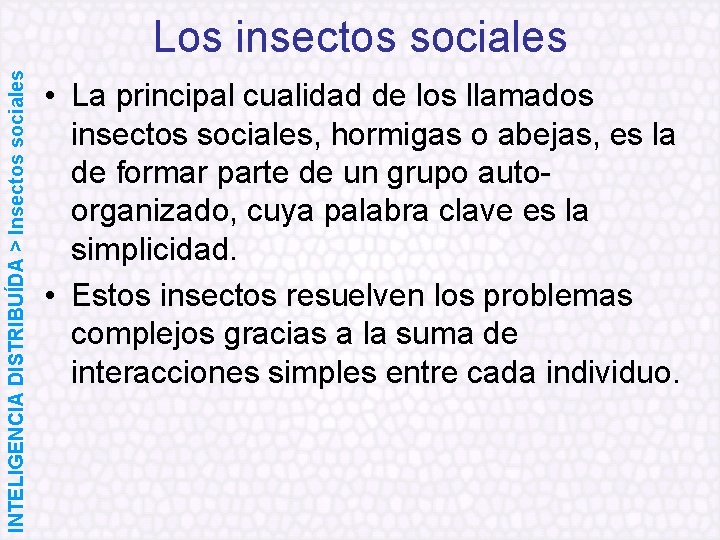 INTELIGENCIA DISTRIBUÍDA > Insectos sociales Los insectos sociales • La principal cualidad de los