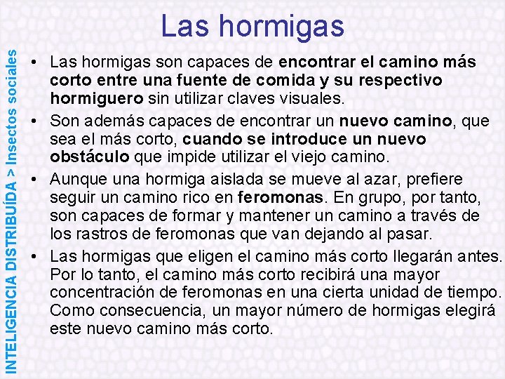 INTELIGENCIA DISTRIBUÍDA > Insectos sociales Las hormigas • Las hormigas son capaces de encontrar