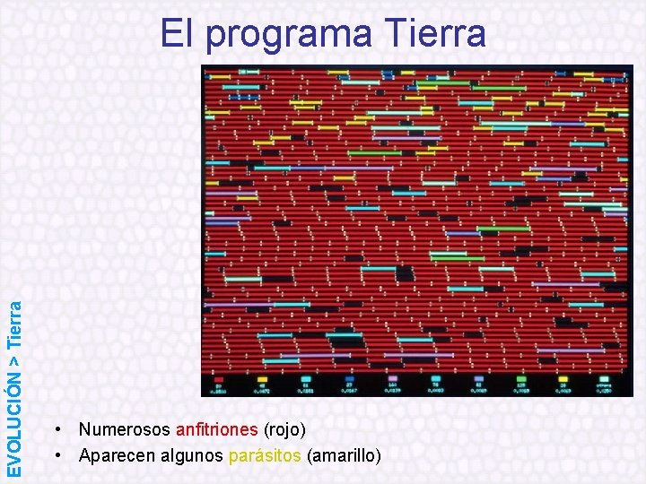 EVOLUCIÓN > Tierra El programa Tierra • Numerosos anfitriones (rojo) • Aparecen algunos parásitos