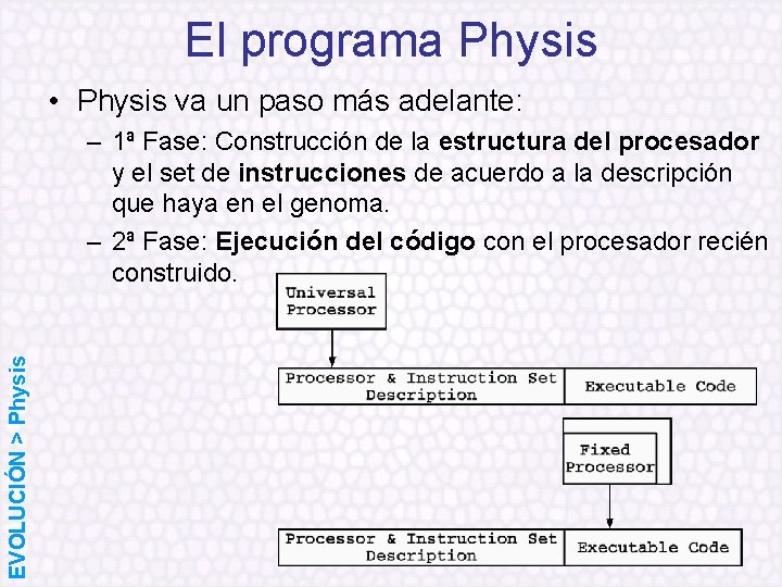 El programa Physis • Physis va un paso más adelante: EVOLUCIÓN > Physis –