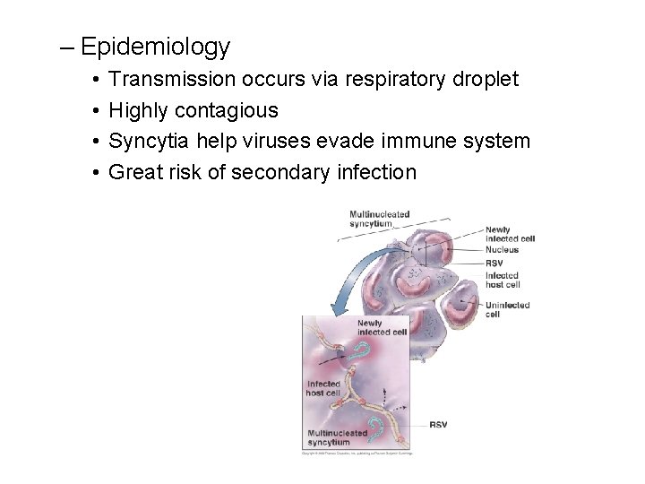 – Epidemiology • • Transmission occurs via respiratory droplet Highly contagious Syncytia help viruses