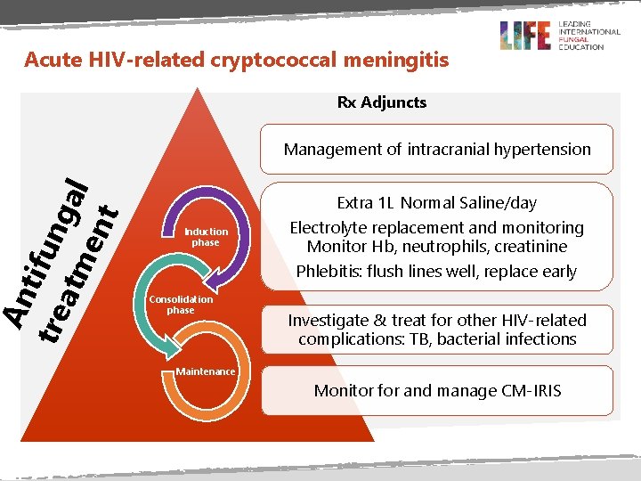 An tifu tre atm ngal ent Acute HIV-related cryptococcal meningitis Rx Adjuncts Management of
