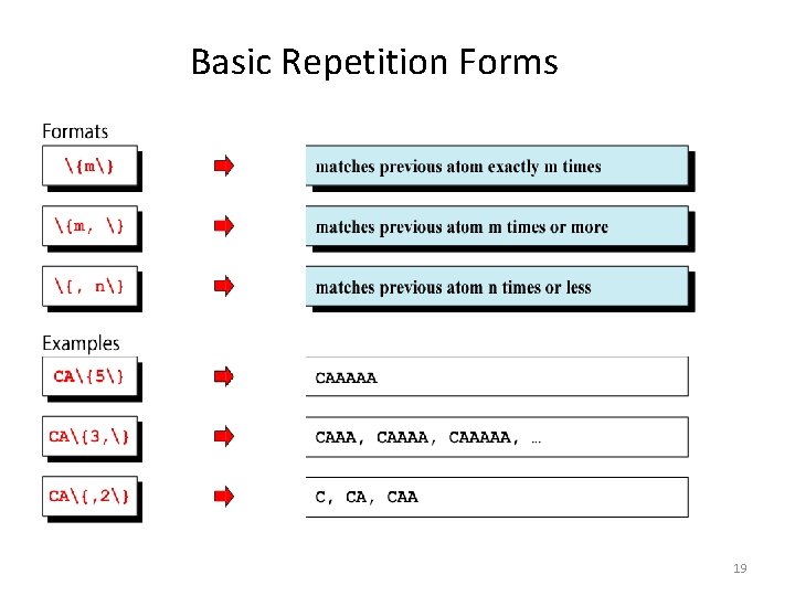 Basic Repetition Forms 19 Basic Repetition Forms 19