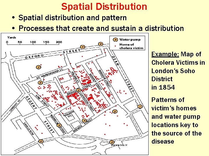 Spatial Distribution • Spatial distribution and pattern • Processes that create and sustain a