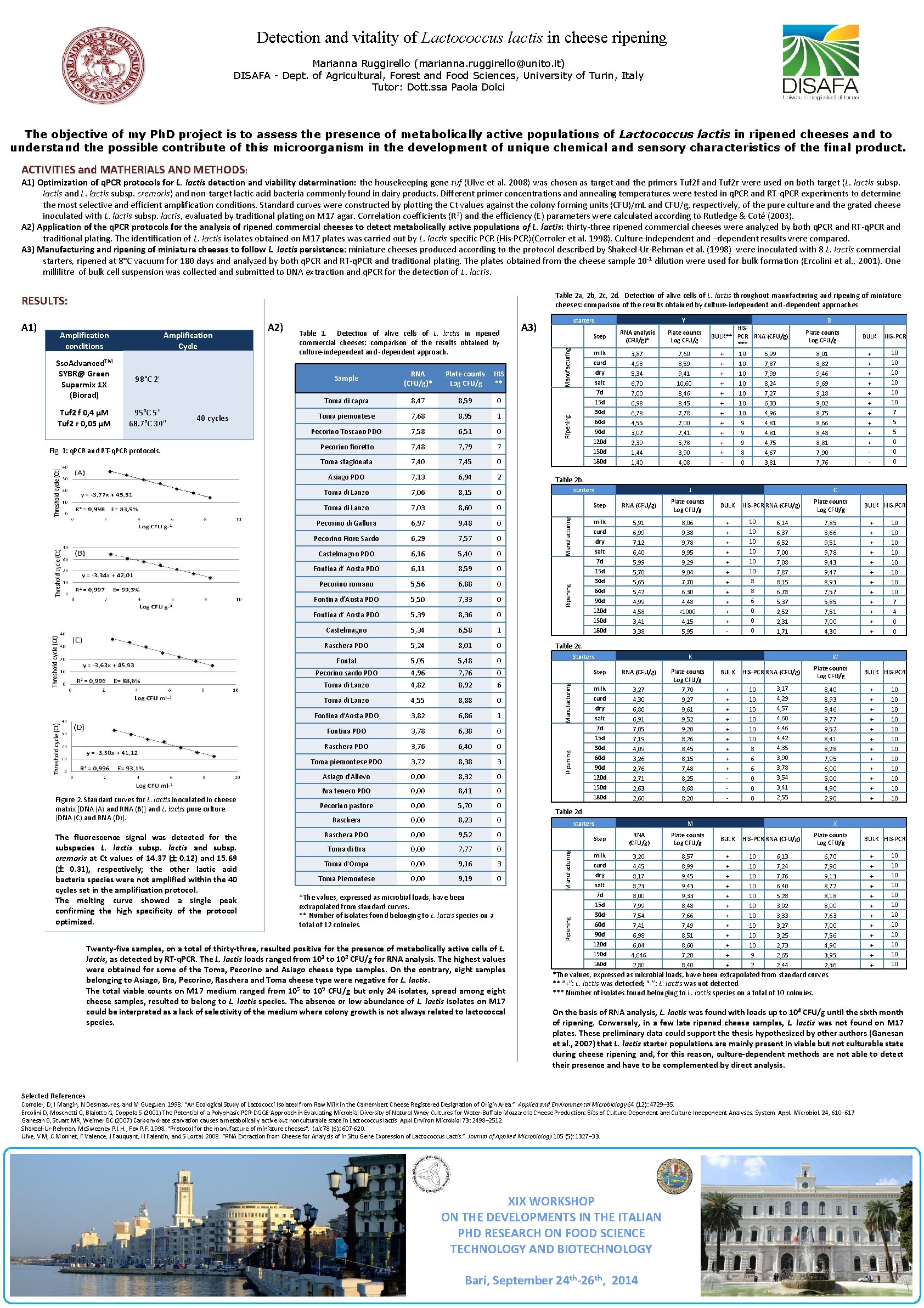 Detection and vitality of Lactococcus lactis in cheese ripening Marianna Ruggirello (marianna. ruggirello@unito. it)