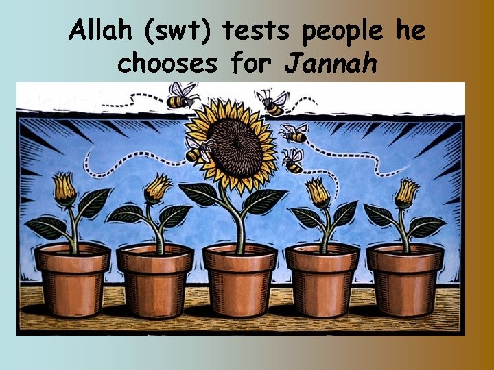 Allah (swt) tests people he chooses for Jannah 