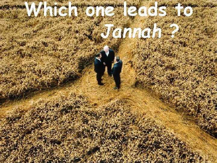 Which one leads to Jannah ? 