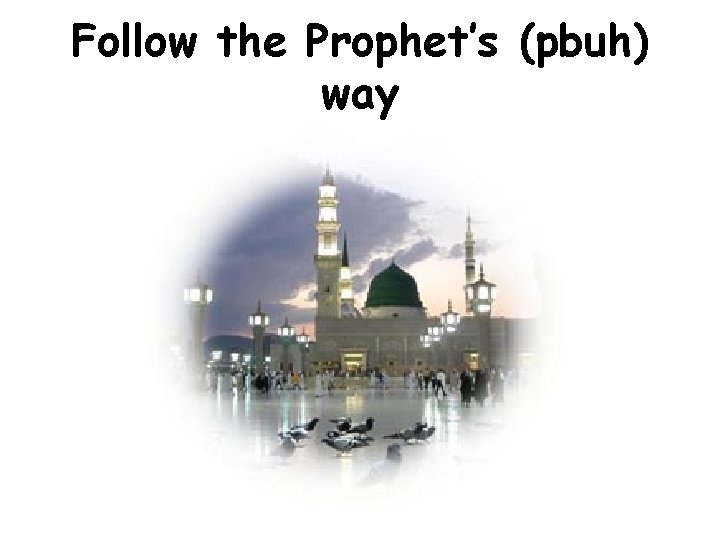 Follow the Prophet’s (pbuh) way 