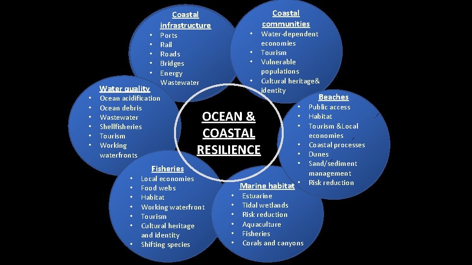  • • • Water quality Coastal infrastructure Ocean acidification Ocean debris Wastewater Shellfisheries