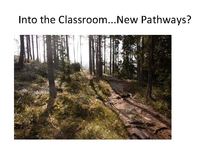 Into the Classroom. . . New Pathways? 