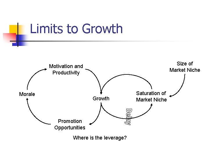 Limits to Growth Size of Market Niche Motivation and Productivity Morale Growth Promotion Opportunities Limits to Growth Size of Market Niche Motivation and Productivity Morale Growth Promotion Opportunities