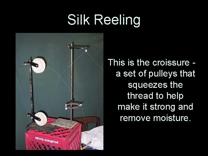 Silk Reeling This is the croissure a set of pulleys that squeezes the thread