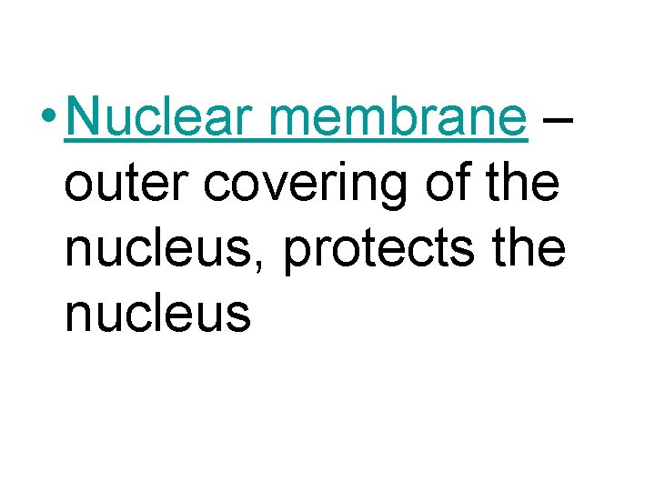  • Nuclear membrane – outer covering of the nucleus, protects the nucleus 