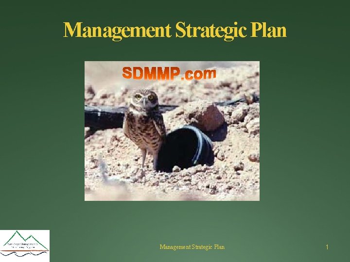 Management Strategic Plan 1 