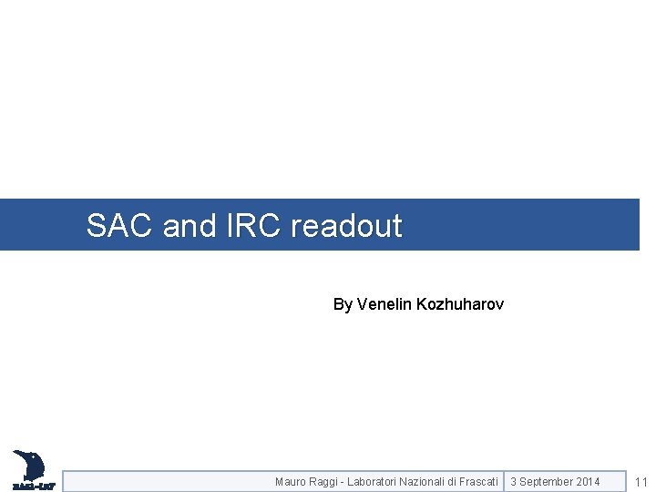 SAC and IRC readout By Venelin Kozhuharov Mauro Raggi - Laboratori Nazionali di Frascati SAC and IRC readout By Venelin Kozhuharov Mauro Raggi - Laboratori Nazionali di Frascati