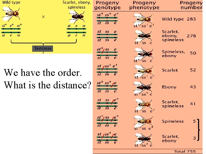 We have the order. What is the distance? 