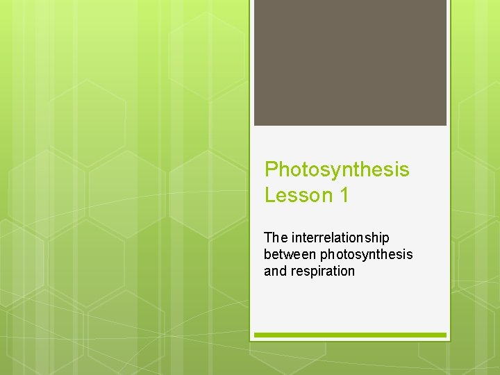 Photosynthesis Lesson 1 The interrelationship between photosynthesis and respiration 