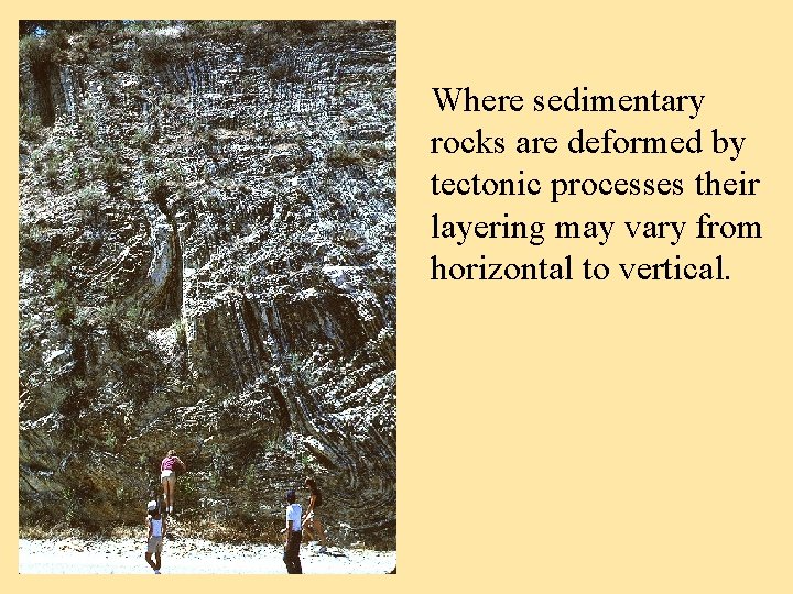 Where sedimentary rocks are deformed by tectonic processes their layering may vary from horizontal