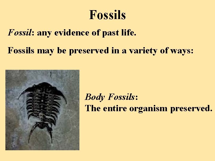 Fossils Fossil: any evidence of past life. Fossils may be preserved in a variety