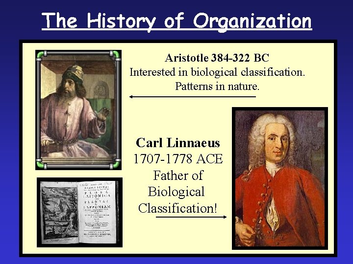 The History of Organization Aristotle 384 -322 BC Interested in biological classification. Patterns in