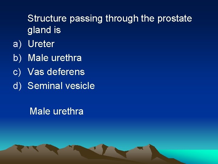 a) b) c) d) Structure passing through the prostate gland is Ureter Male urethra
